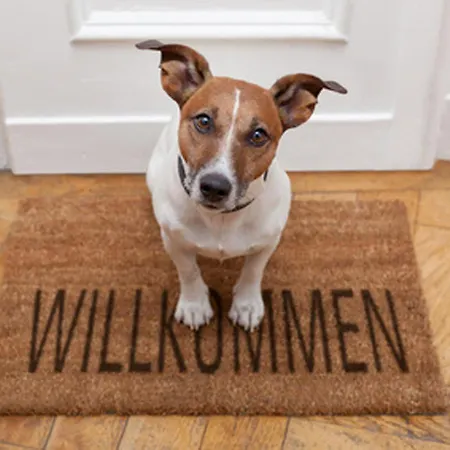 Apartamento Am Waldesrand Koelpinsee Souterraine